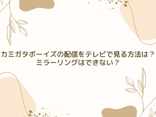 カミガタボーイズ　配信　テレビで見る方法