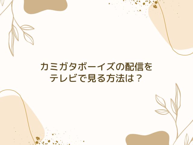 カミガタボーイズ　配信　テレビで見る方法