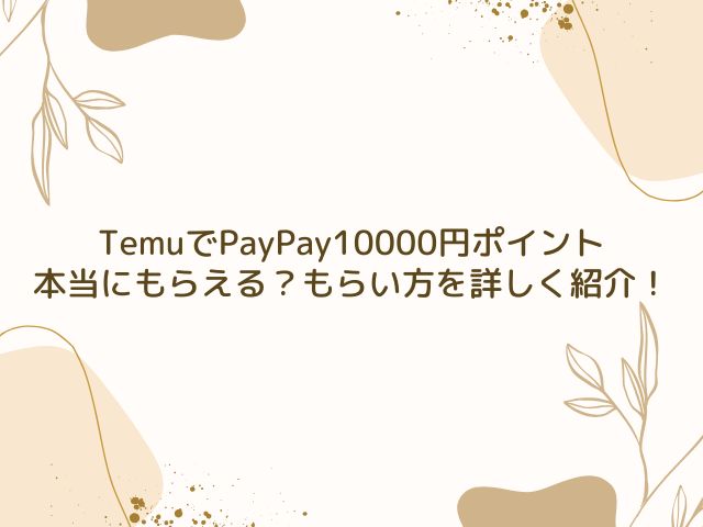 Temu　PayPay　10000円