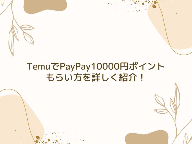 Temu　PayPay　10000円