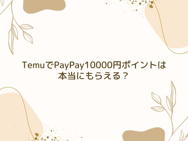 Temu　PayPay　10000円